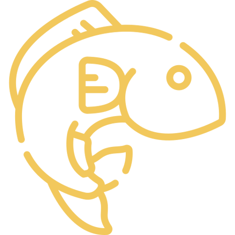 fish (2)